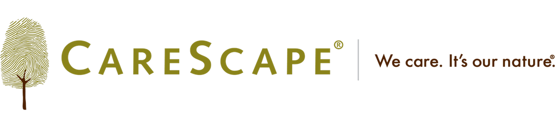 CareScape Logo