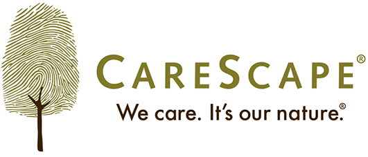 CareScape Logo